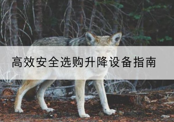 南城升降货梯厂家推荐-*安全选购升降设备指南