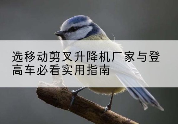 南城电动升降机厂家-选移动剪叉升降机厂家与登高车必看实用指南