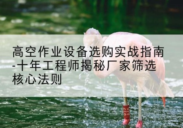 南城剪叉式升降机厂家-高空作业设备选购实战指南-十年工程师揭秘厂家筛选核心法则